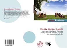 Bookcover of Brandy Station, Virginia