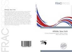 Bookcover of Hillside, New York
