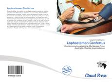 Copertina di Lophostemon Confertus