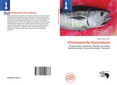 Bookcover of Chamaescilla Corymbosa