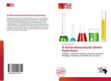 Bookcover of 6-Aminohexanoate-dimer Hydrolase