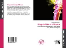 Buchcover von Diagonal Band of Broca