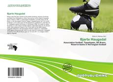 Bjarte Haugsdal的封面