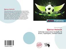 Bjørnar Holmvik kitap kapağı