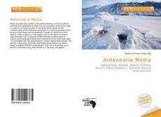 Copertina di Antennaria Media