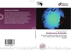 Buchcover von Antennaria Pulchella