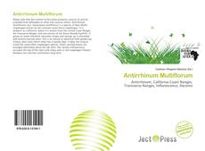 Copertina di Antirrhinum Multiflorum