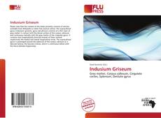 Copertina di Indusium Griseum