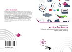 Portada del libro de Arnica Spathulata