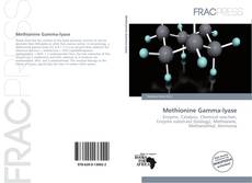 Bookcover of Methionine Gamma-lyase