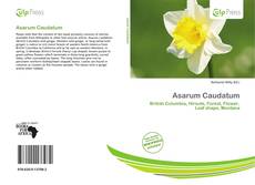 Обложка Asarum Caudatum