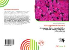 Astragalus Bolanderi的封面