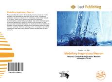 Medullary Inspiratory Neuron的封面