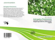 Portada del libro de Astragalus Pomonensis