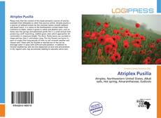 Bookcover of Atriplex Pusilla