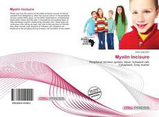 Bookcover of Myelin Incisure