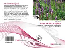 Bookcover of Acourtia Microcephala