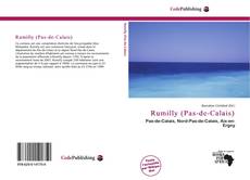 Buchcover von Rumilly (Pas-de-Calais)