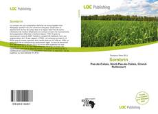 Copertina di Sombrin