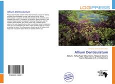 Copertina di Allium Denticulatum