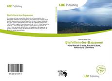 Biefvillers-lès-Bapaume kitap kapağı