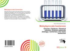 Maleylpyruvate Isomerase的封面