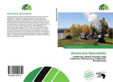 Capa do livro de Amsinckia Spectabilis 