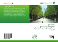 Angelica Breweri的封面