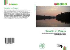 Copertina di Sainghin-en-Weppes