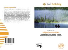 Обложка Angelica Lineariloba