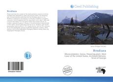 Buchcover von Brodiaea