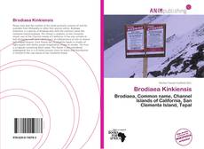 Couverture de Brodiaea Kinkiensis