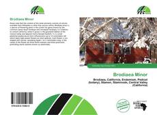 Capa do livro de Brodiaea Minor 