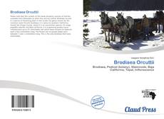 Copertina di Brodiaea Orcuttii