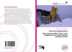 Couverture de Bruchia Bolanderi