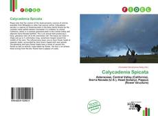 Copertina di Calycadenia Spicata