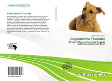 Обложка Calycadenia Truncata