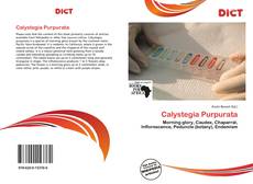 Copertina di Calystegia Purpurata