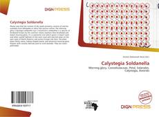 Bookcover of Calystegia Soldanella