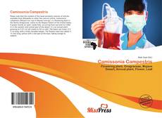 Bookcover of Camissonia Campestris