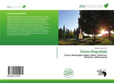 Buchcover von Carex Angustata