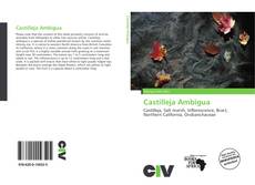 Portada del libro de Castilleja Ambigua