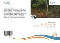 Copertina di Castilleja Miniata
