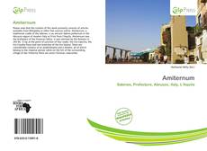 Capa do livro de Amiternum 