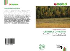 Copertina di Ceanothus Cordulatus