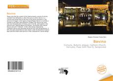 Bovino kitap kapağı