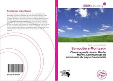 Semoutiers-Montsaon kitap kapağı