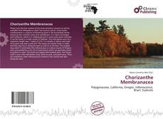 Copertina di Chorizanthe Membranacea
