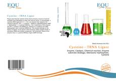 Cysteine—TRNA Ligase kitap kapağı