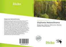 Copertina di Chylismia Heterochroma